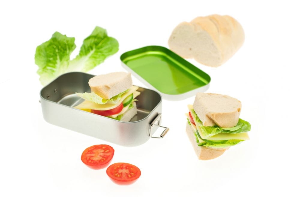 CameleonPack Lunchbox green